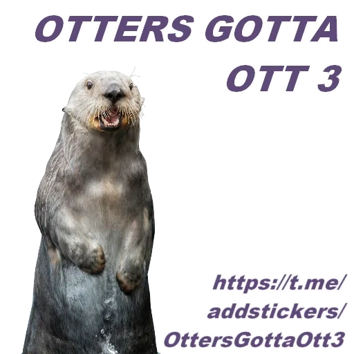 Otters Gotta Ott 2 sticker 117