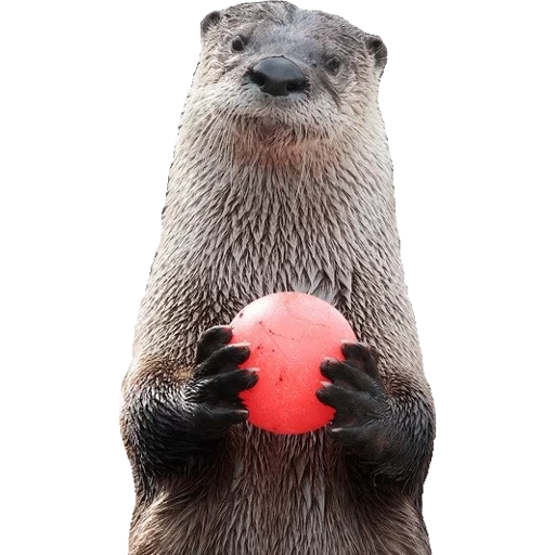 Otters Gotta Ott 2 sticker 15