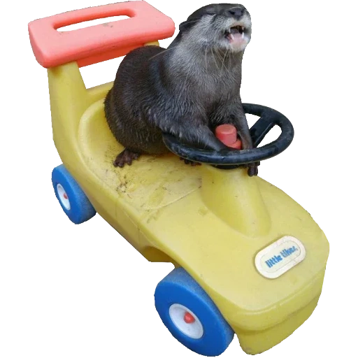 Otters Gotta Ott 2 sticker 24