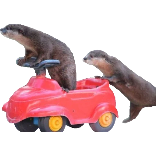 Otters Gotta Ott 2 sticker 25