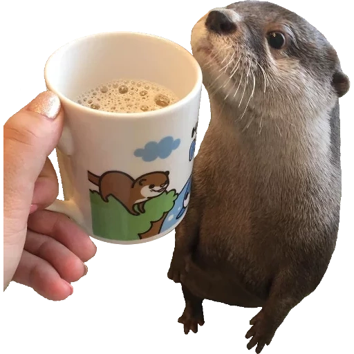 Otters Gotta Ott 2 sticker 42