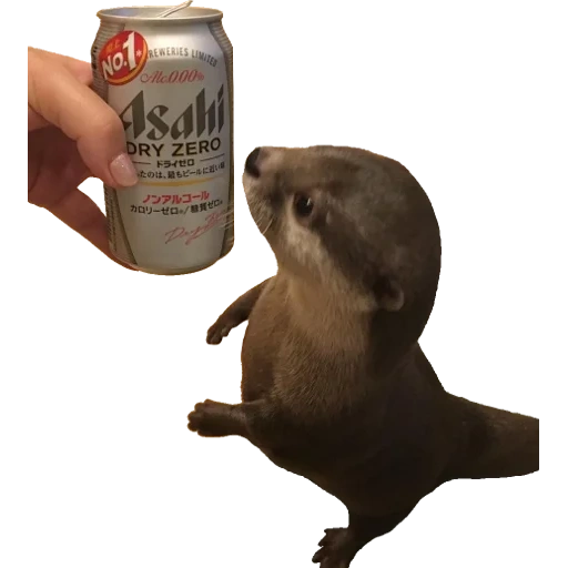 Otters Gotta Ott 2 sticker 43