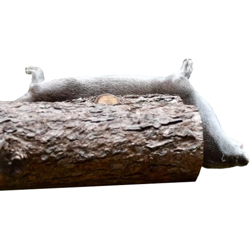 Otters Gotta Ott 2 sticker 51