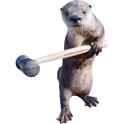 Otters Gotta Ott 2 sticker 66