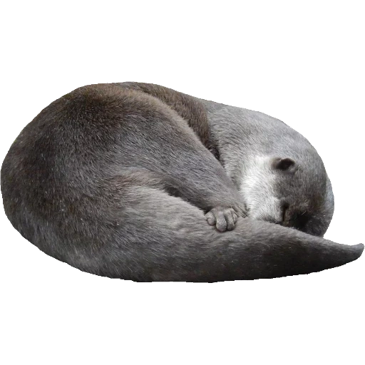 Otters Gotta Ott 2 sticker 67