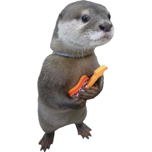 Otters Gotta Ott 2 sticker 70