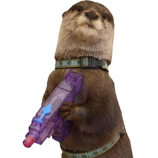 Otters Gotta Ott 2 sticker 71