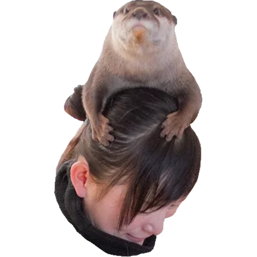 Otters Gotta Ott 2 sticker 74