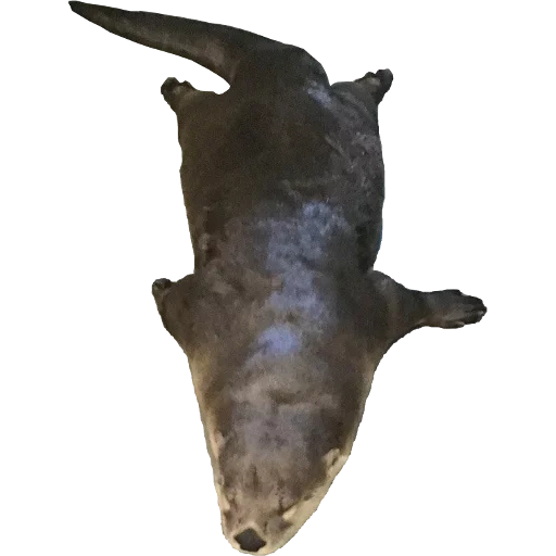 Otters Gotta Ott 2 sticker 81