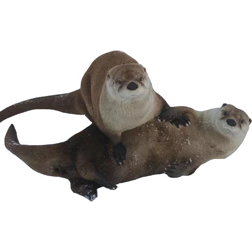 Otters Gotta Ott 2 sticker 83