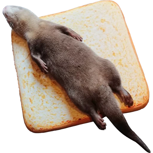 Otters Gotta Ott 2 sticker 87