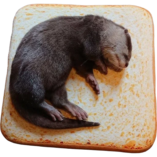 Otters Gotta Ott 2 sticker 88