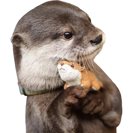 Otters Gotta Ott 2 sticker 93