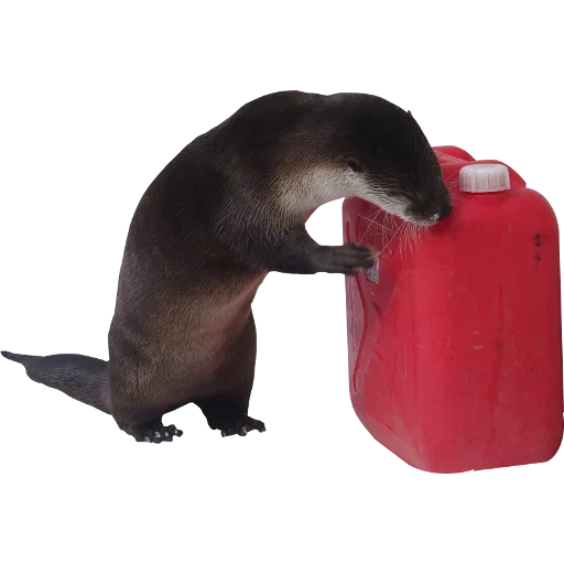 Otters Gotta Ott 2 sticker 94