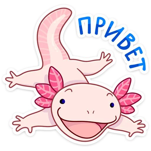 По и Фо Telegram sticker pack