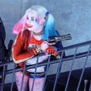 Harley quinn sticker 8