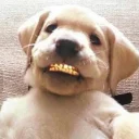 @fijiaftersex pack 4 sticker 60