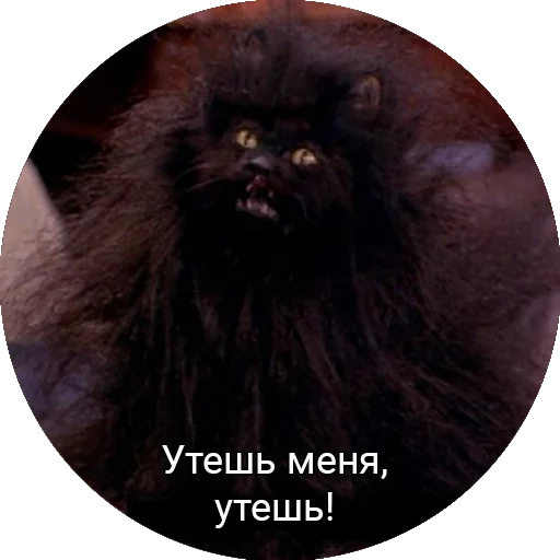 Saberhagencat sticker 11