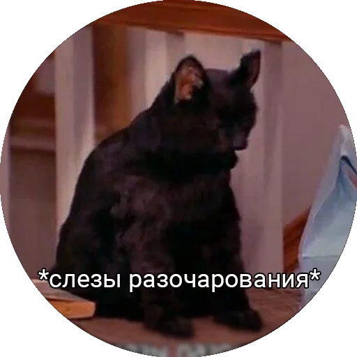 Saberhagencat sticker 12