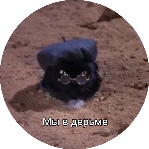 Saberhagencat sticker 22