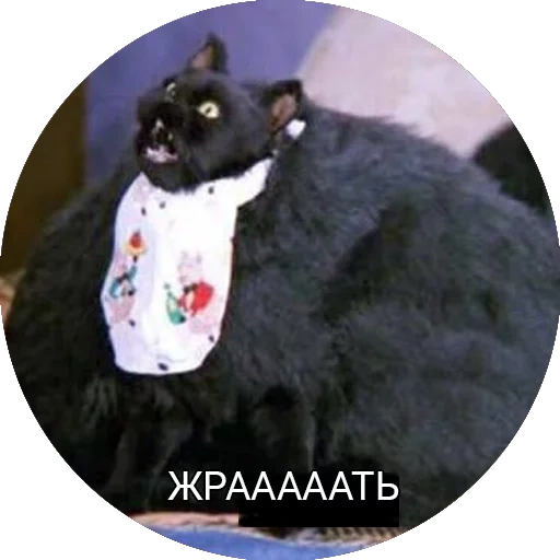 Saberhagencat sticker 4