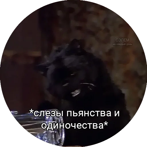 Saberhagencat sticker 36