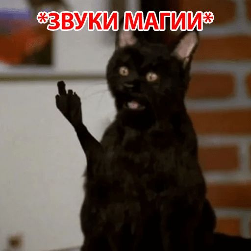 Кот Салема Telegram sticker pack