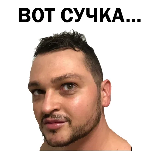 Похититель Ароматов Шура Стоун sticker 34