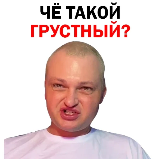 Похититель Ароматов Шура Стоун sticker 46