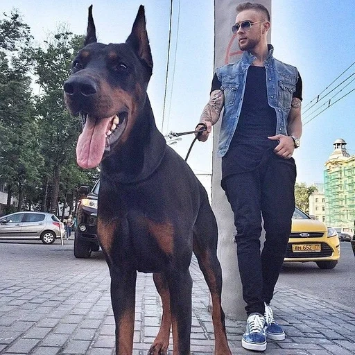 Egor Kreed sticker 12