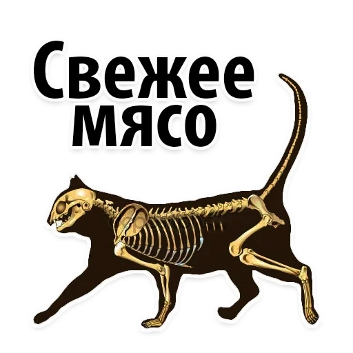 Космические Коты sticker 12