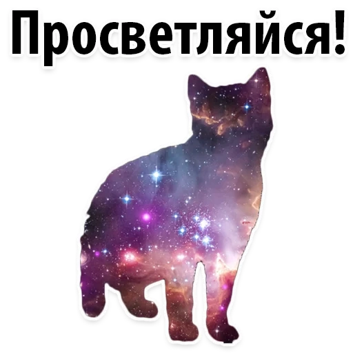 Космические Коты sticker 23