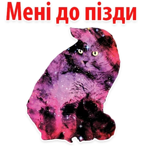 Космические Коты sticker 36