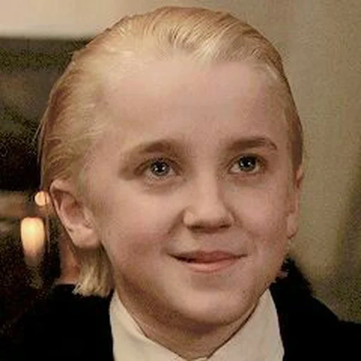Draco malfoy sticker 59