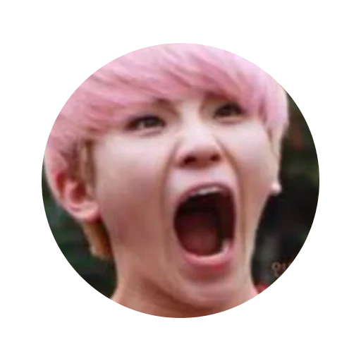 Seventeen Telegram sticker pack