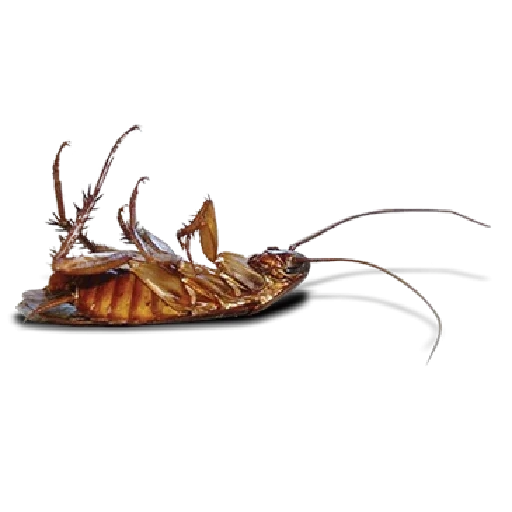 tarakanovvam sticker 11