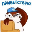 Воробушек Чирик Telegram sticker pack