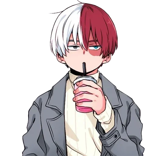 Shoto Todoroki • sticker 2