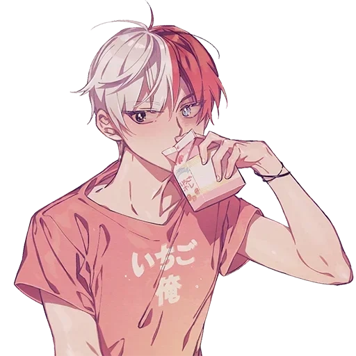 Shoto Todoroki • sticker 108