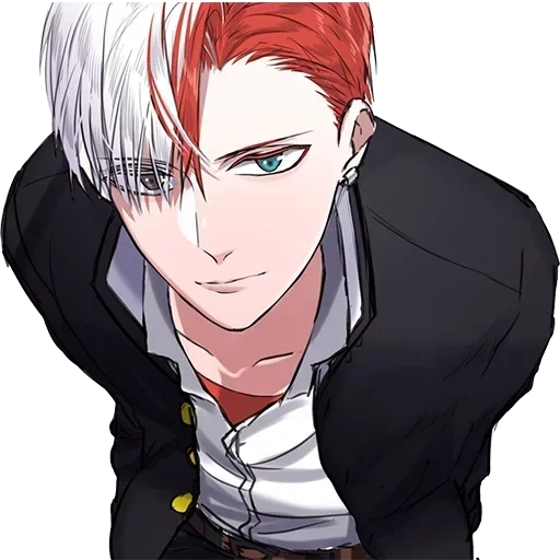 Shoto Todoroki • sticker 12