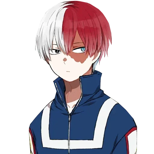 Shoto Todoroki • sticker 111