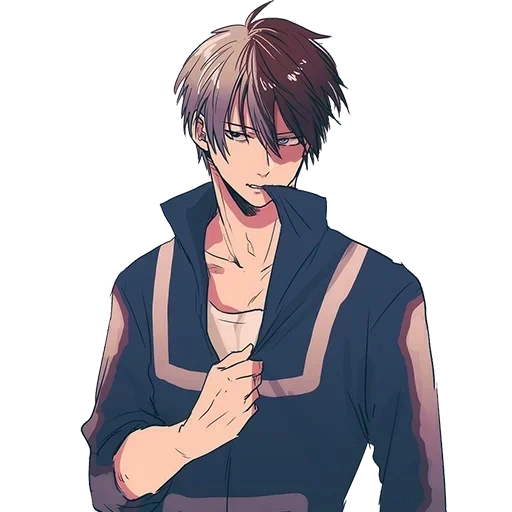 Shoto Todoroki • sticker 14