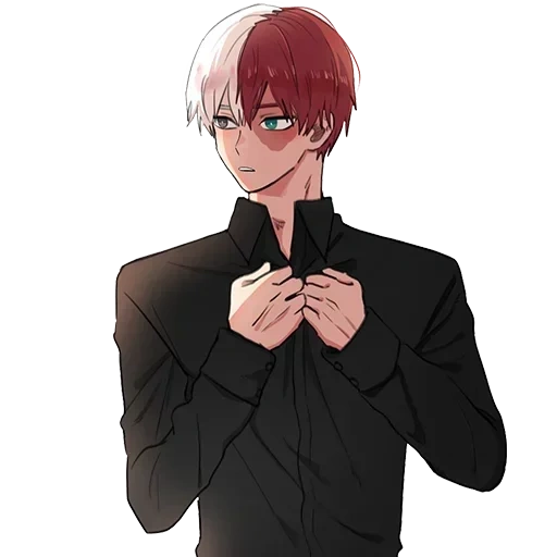 Shoto Todoroki • sticker 15