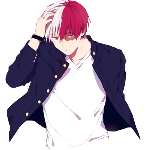 Shoto Todoroki • sticker 16