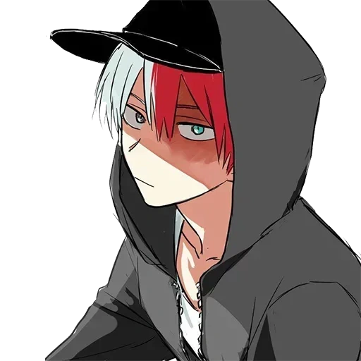 Shoto Todoroki • sticker 18