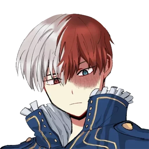 Shoto Todoroki • sticker 38