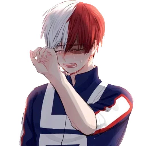 Shoto Todoroki • sticker 42