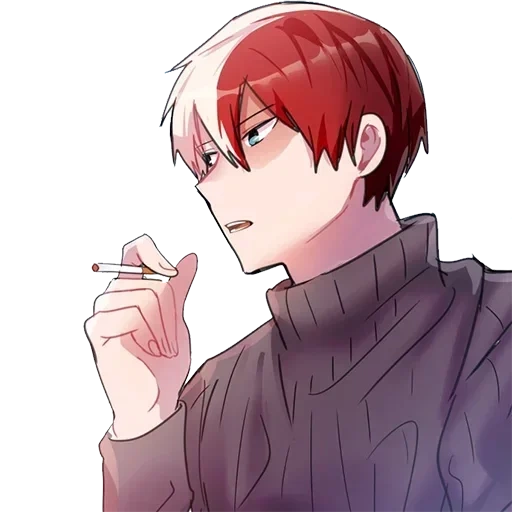 Shoto Todoroki • sticker 61
