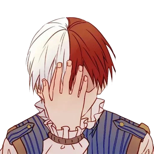 Shoto Todoroki • sticker 91