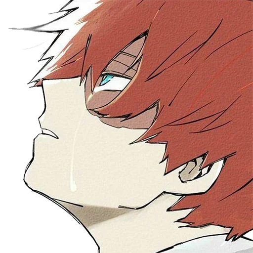 Shoto Todoroki • sticker 92